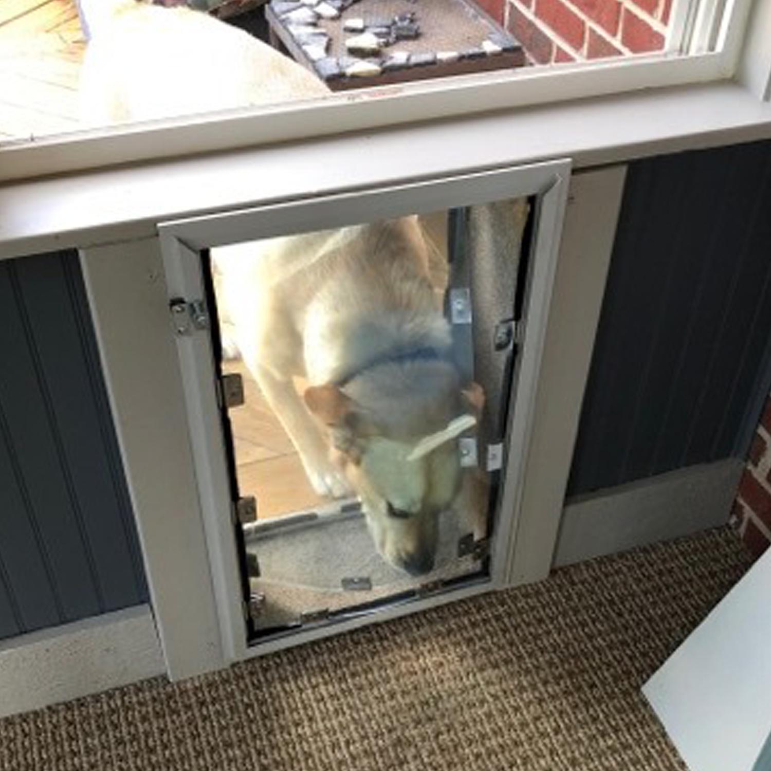 Diy doggie door best sale in wall
