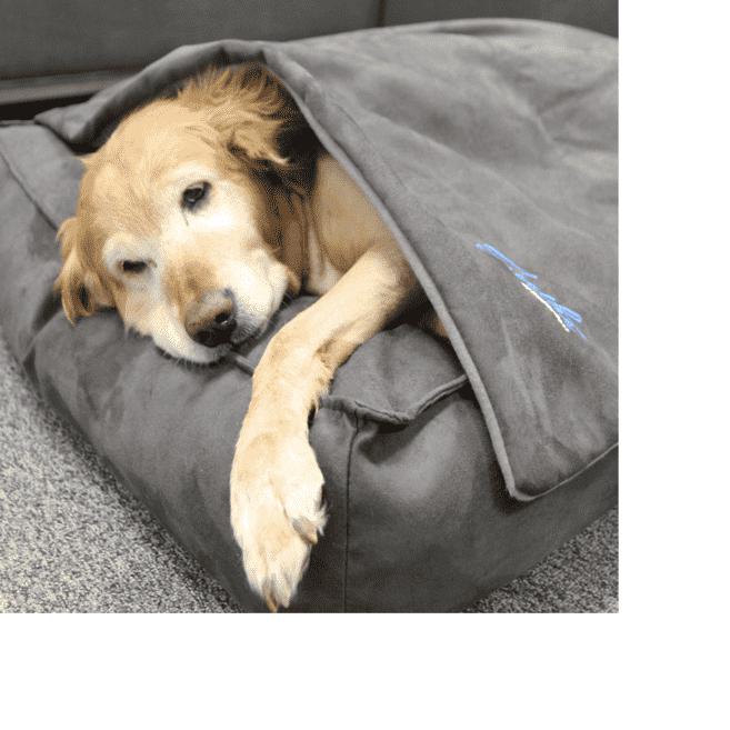 BuddyRest Soothe Anti-Anxiety Weighted Dog Blanket-Accessories-Pet's Choice Supply