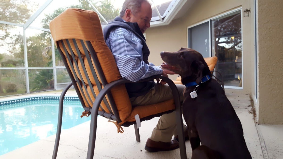 Autoslide Elite Smart Tag Pet Door Kit-Pet Door-Pet's Choice Supply