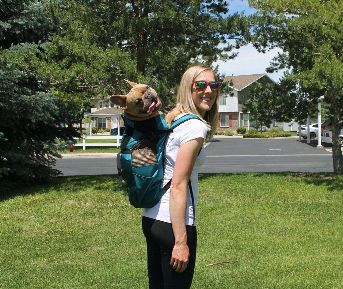 K9 SPORT SACK® TRAINER-Backpack-Pet's Choice Supply