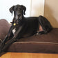 Bully Bed Orthopedic, Washable & Waterproof Big Dog Beds-Dog Bed-Pet's Choice Supply