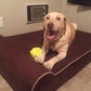 Bully Bed Orthopedic, Washable & Waterproof Big Dog Beds-Dog Bed-Pet's Choice Supply