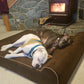 Bully Bed Orthopedic, Washable & Waterproof Big Dog Beds-Dog Bed-Pet's Choice Supply