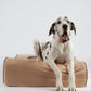 Bully Bed Orthopedic, Washable & Waterproof Big Dog Beds-Dog Bed-Pet's Choice Supply