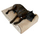 Bully Bed Orthopedic, Washable & Waterproof Big Dog Beds-Dog Bed-Pet's Choice Supply
