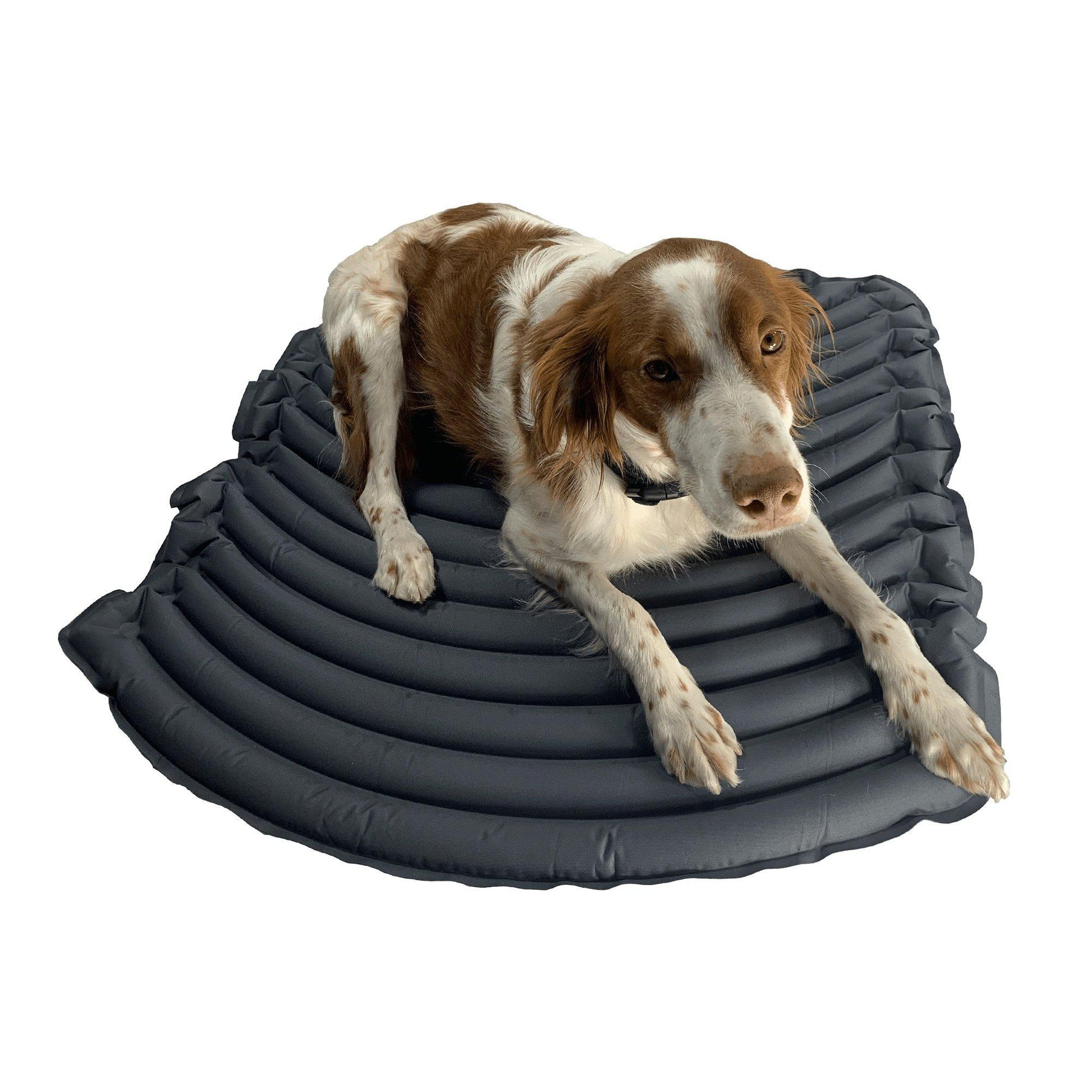 K9 SPORT SLEEPER WITH KLYMIT TECHNOLOGY-Dog Bed-Pet's Choice Supply