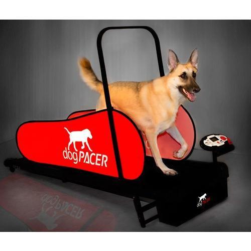 DogPacer LF 3.1 Dog Treadmill-Treadmill-Pet's Choice Supply