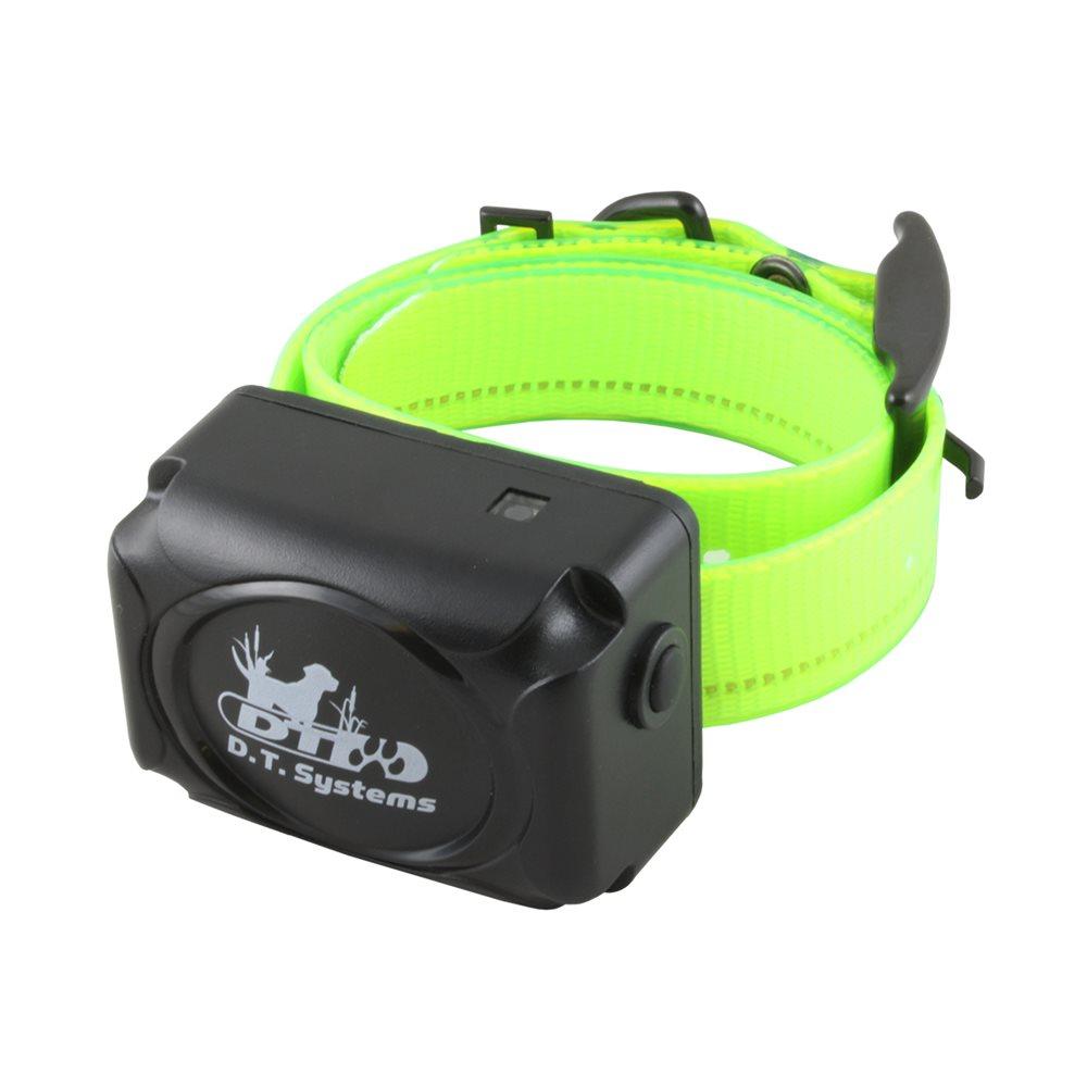 Dt training outlet collars