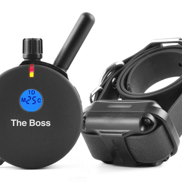 The boss 2025 shock collar