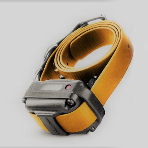Educator RX-090 Small Receiver Collar by E-Collar-Dog Training Collars-Pet's Choice Supply