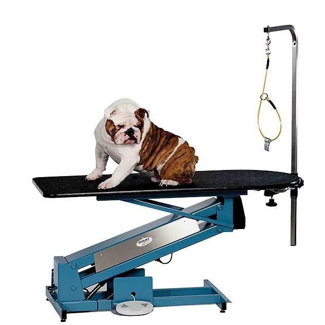 MasterLift LowRider RP Electric Grooming Table with Rotating Post-Grooming Tables-Pet's Choice Supply