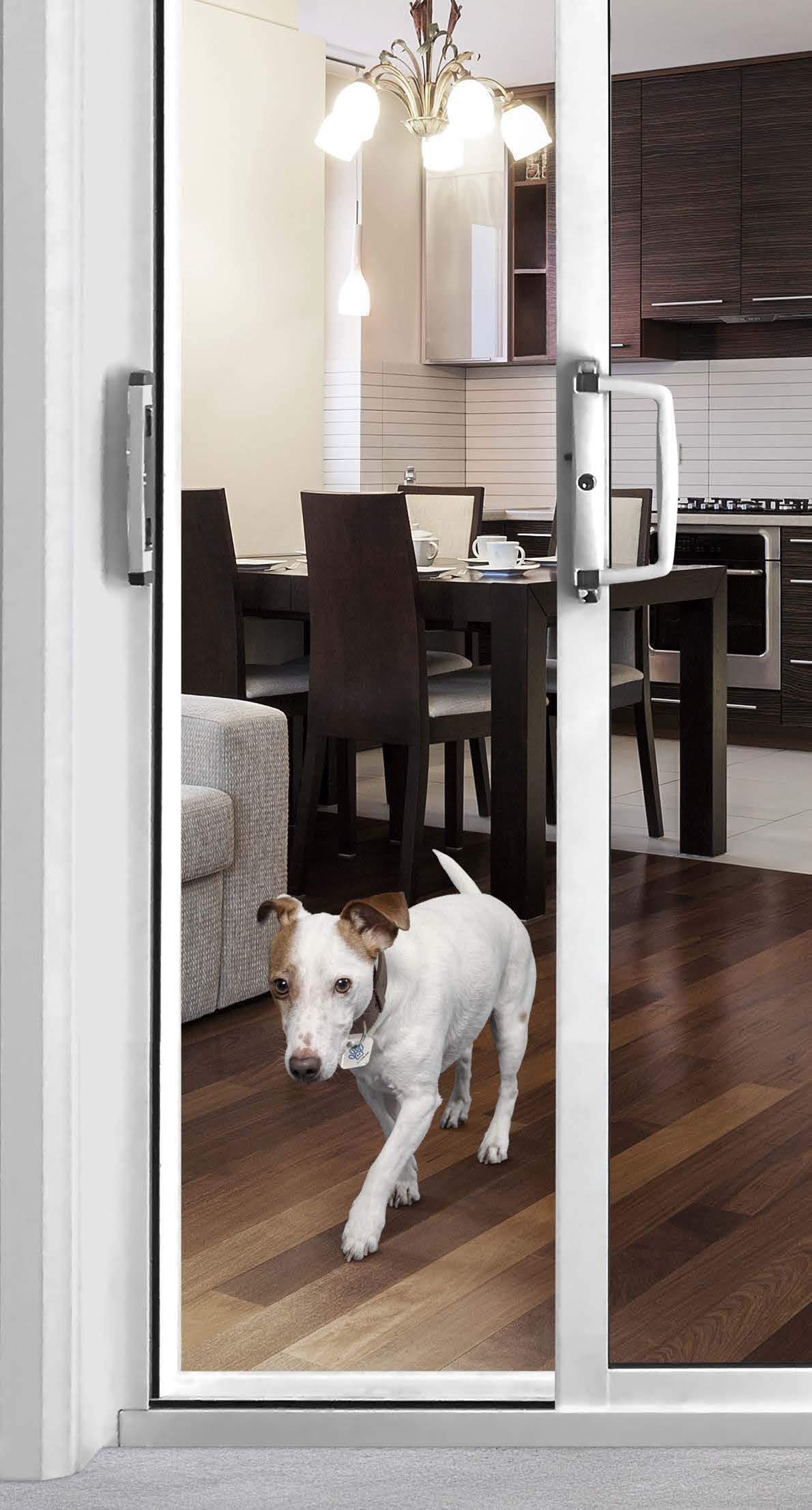 K9 Smart Tag for Autoslide RFID Pet Door-Pet Door-Pet's Choice Supply
