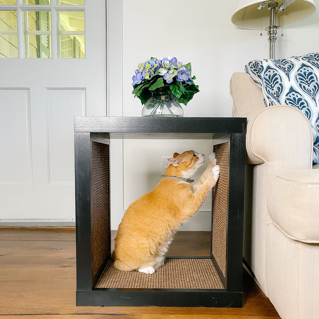 Diy end table 2024 cat litter box