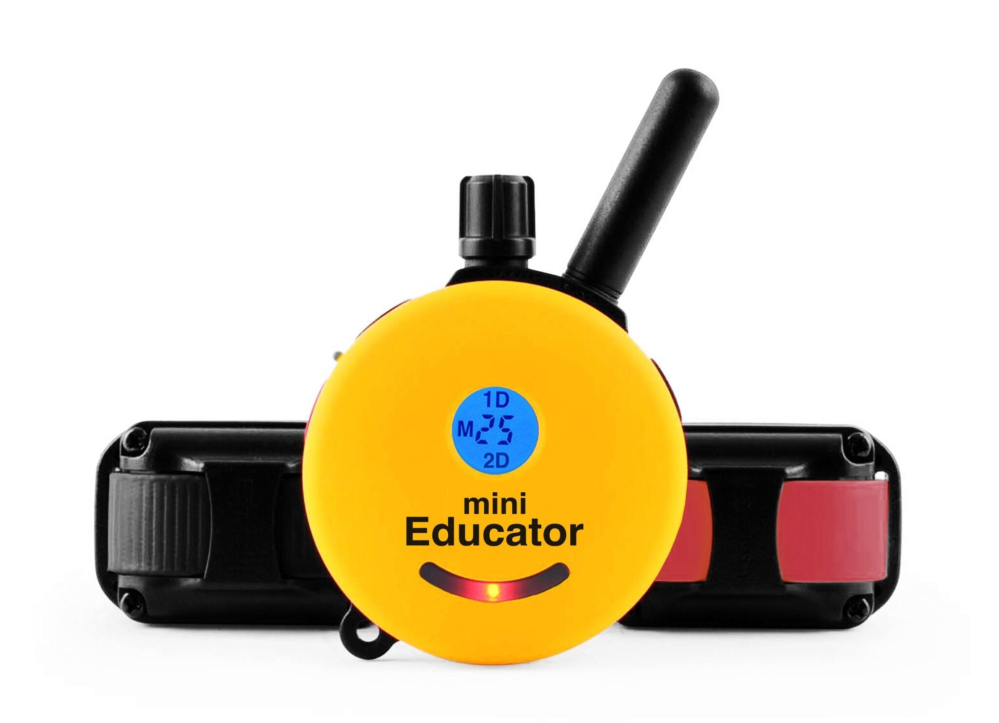 Mini educator 2024 e collar