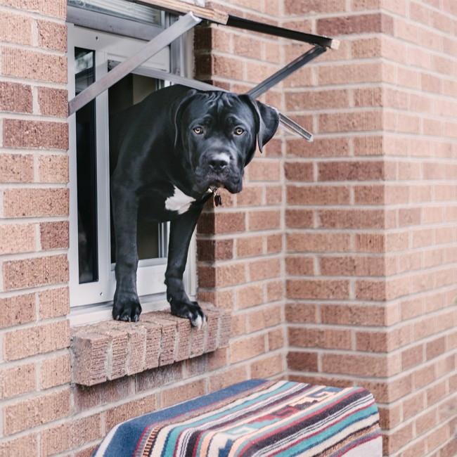 Endura Flap® by Patio Pacific - Thermo Sash 3e - Sash Window Cat & Dog Door-Pet & Dog Doors-Pet's Choice Supply
