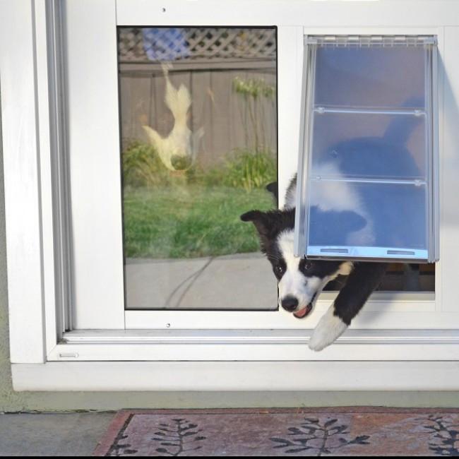 Endura Flap® by Patio Pacific - Thermo Sash 3e - Sash Window Cat & Dog Door-Pet & Dog Doors-Pet's Choice Supply