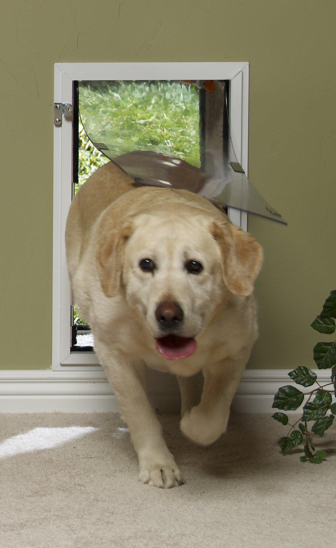 Hale Pet Door for Walls Best In wall Dog Cat Door wall mounted
