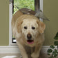 Hale Pet Door for Walls | Secure In Wall Mount Dog Door & Cat Door-Pet & Dog Doors-Pet's Choice Supply
