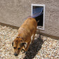 Hale Pet Door for Walls | Secure In Wall Mount Dog Door & Cat Door-Pet & Dog Doors-Pet's Choice Supply