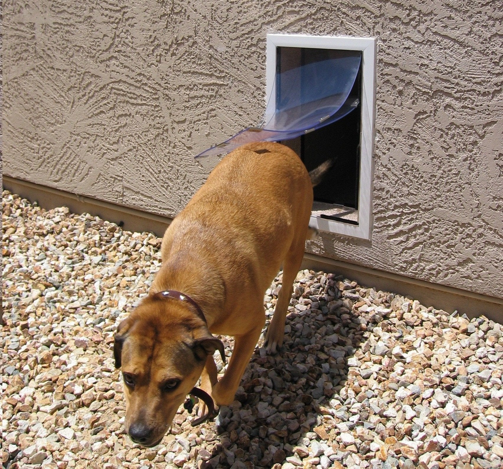 Hale Pet Door for Walls | Secure In Wall Mount Dog Door & Cat Door-Pet & Dog Doors-Pet's Choice Supply