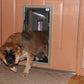 Hale Pet Door - In Door Mount Installation Dog Door & Cat Door-Pet & Dog Doors-Pet's Choice Supply