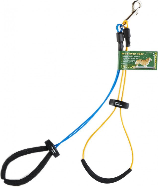 https://petschoicesupply.com/cdn/shop/products/pgd-Nooses2-xx_1024x.jpg?v=1691006771