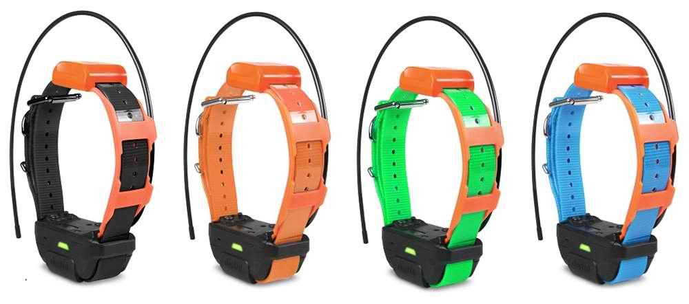 Dogtra Pathfinder TRX Extra Collar-Training Collars-Pet's Choice Supply
