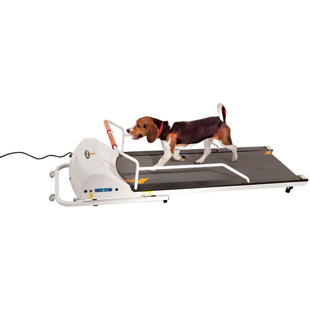 GoPet Petrun PR720F Treadmill for Dogs up to 132 lbs-Treadmills-Pet's Choice Supply