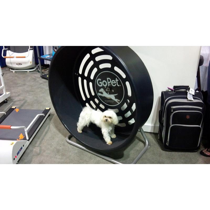 GoPet CG4012 Indoor/Outdoor Treadwheel for Small Dogs/Cats up to 25 lbs-Treadwheels-Pet's Choice Supply