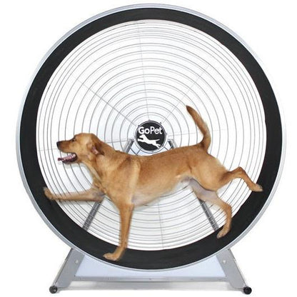 GoPet CS6020 Indoor/Outdoor Treadwheel for Medium and Large Dogs (similar to Treadmill)-Treadwheels-Pet's Choice Supply