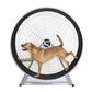 GoPet CS8022 Indoor/Outdoor Treadwheel for Extra Large Dogs-Treadwheels-Pet's Choice Supply