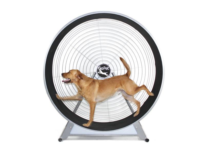 GoPet CS8022 Indoor/Outdoor Treadwheel for Extra Large Dogs-Treadwheels-Pet's Choice Supply