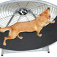GoPet CS8022 Indoor/Outdoor Treadwheel for Extra Large Dogs-Treadwheels-Pet's Choice Supply