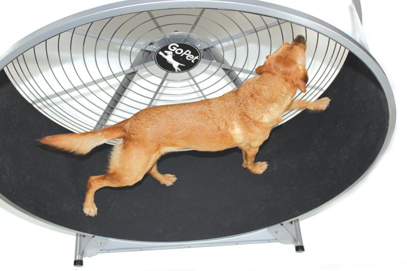 GoPet CS8022 Indoor/Outdoor Treadwheel for Extra Large Dogs-Treadwheels-Pet's Choice Supply