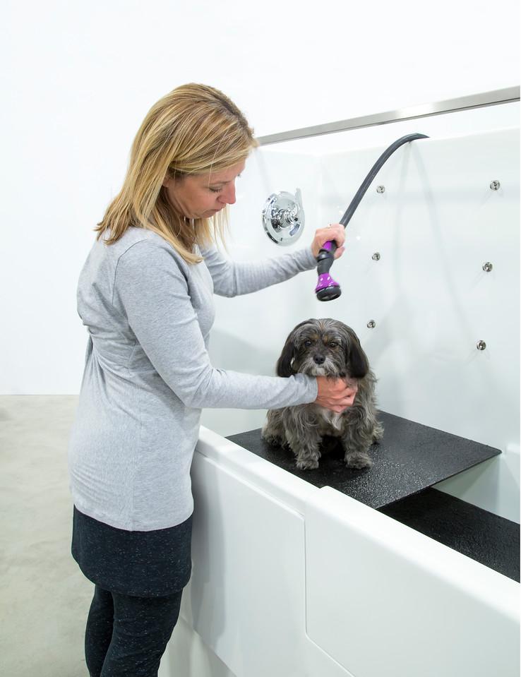 Ultra Lift 3 Side Splash 48" Pet Wash - Elevating Professional Electric Dog Grooming Tub-Grooming Tub-Pet's Choice Supply