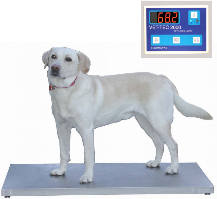 Digital Walk-On Weigh Scale-Veterinary Scales-Pet's Choice Supply